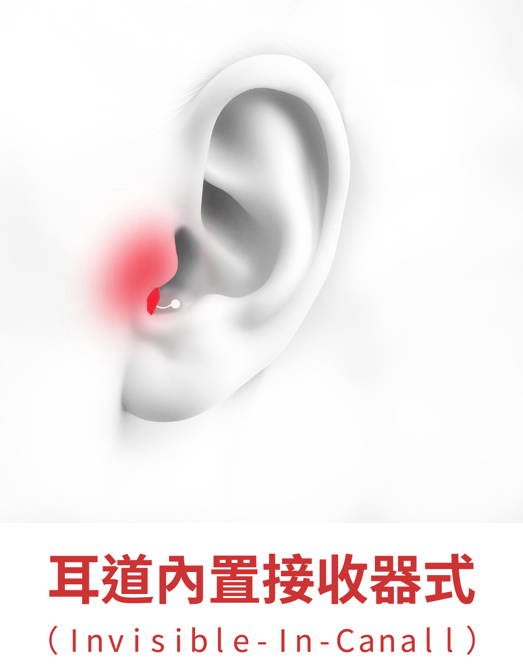 香蕉圖